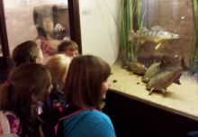 20140924_104340.jpg