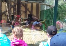 zoo (18).jpg