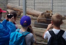 zoo (19).jpg