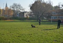 DSC_0123.JPG