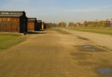 birkenau2 (1).jpg