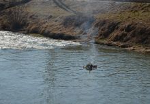 DSC_0918.JPG