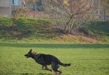 DSC_0133.JPG