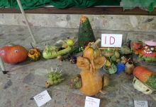 20141001_074659.jpg