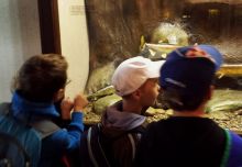 20140924_104317.jpg